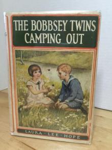 The Bobbsey Twins Read online