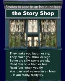 the Story Shop Read online