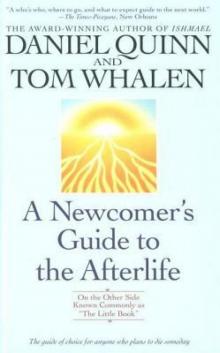 A Newcomer's Guide to the Afterlife: On the Other Side Known Commonly as the Little Book Read online