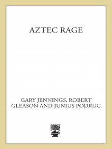 Aztec Rage Read online