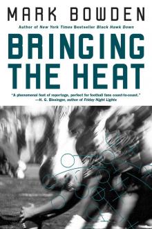 Bringing the Heat Read online
