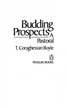 Budding Prospects: A Pastoral (Contemporary American Fiction) Read online