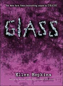 Glass - 02 Read online