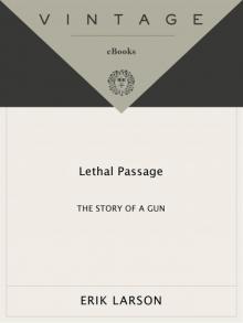 Lethal Passage: The Story of a Gun Read online