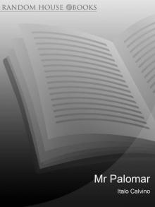 Mr Palomar Read online