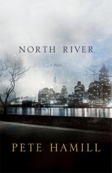 North River Read online