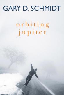 Orbiting Jupiter Read online