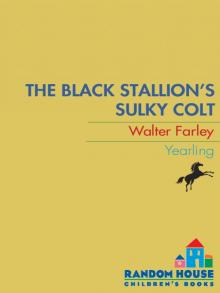 The Black Stallion's Sulky Colt Read online
