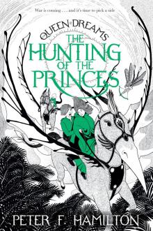 The Hunting of the Princes Read online