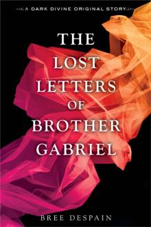 The Lost Letters of Brother Gabriel Read online