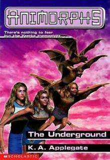 The Underground Read online