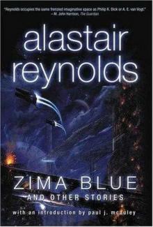 Zima Blue and Other Stories Read online