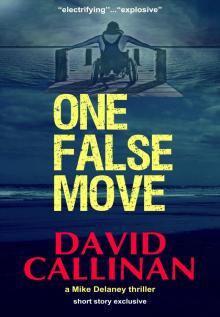 One False Move (a Mike Delaney thriller) Read online