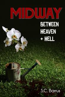Midway Between Heaven and Hell Read online