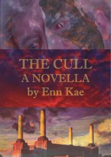 The Cull Read online