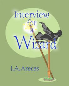 The Salem Concord Book 1: Interview for a Wizard Read online