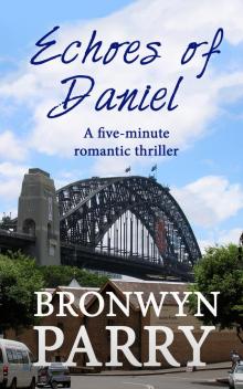 Echoes of Daniel: A five-minute romantic thriller Read online