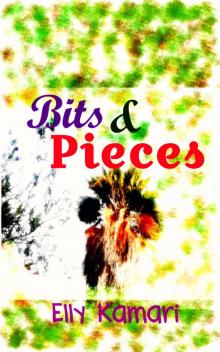 Bits and Pieces Read online