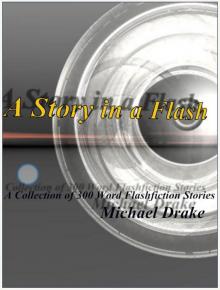 A Story in a Flash - A Collection of 300 Word Flashfiction Stories Read online