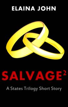 Salvage 2 Read online