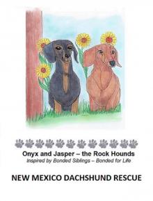 Onyx and Jasper – the Rock Hounds
