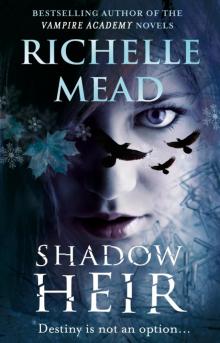 Shadow Heir Read online