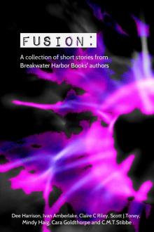 Fusion: A collection of short stories from Breakwater Harbor Books&rsquo; authors