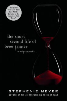The Short Second Life of Bree Tanner Read online