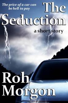 The Seduction Read online