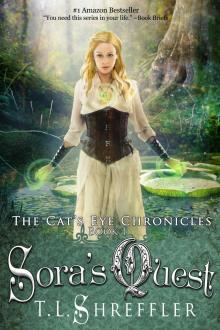 Sora's Quest (The Cat's Eye Chronicles #1) Read online