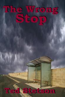 The Wrong Stop Read online