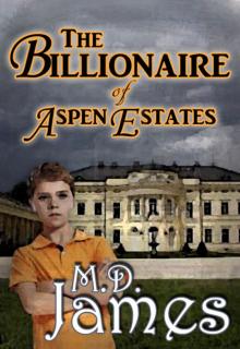 The Billionaire of Aspen Estates (The Concord Series #1) Read online
