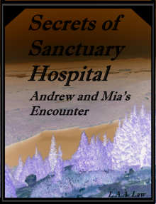 Secrets of Sanctuary Hospital Andrew and Mia's Encounter Read online