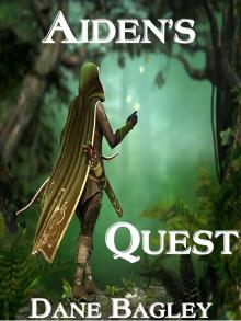 Aiden's Quest Read online