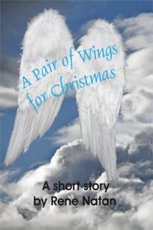 A Pair of Wings for Christmas Read online