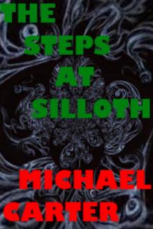The Steps At Silloth Read online