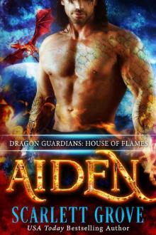 Aiden_House of Flames_Dragon Rockstar Warrior Romance Read online
