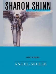 Angel-Seeker Read online
