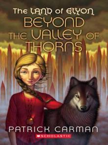 Beyond the Valley of Thorns Read online