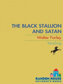 Black Stallion and Satan Read online