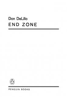 End Zone Read online