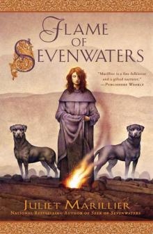 Flame of Sevenwaters Read online