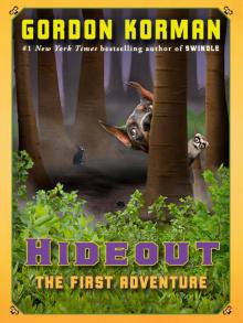Hideout: The First Adventure Read online