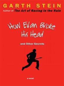 How Evan Broke His Head and Other Secrets Read online
