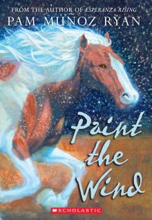 Paint the Wind Read online