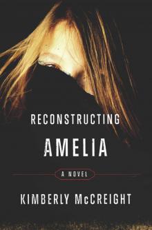 Reconstructing Amelia Read online
