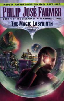 R.W. IV - The Magic Labyrinth Read online
