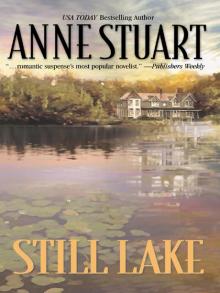 Still Lake Read online