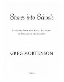 Stones Into Schools Read online