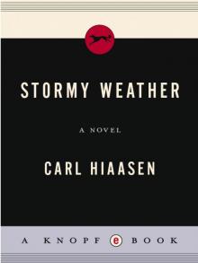 Stormy Weather Read online